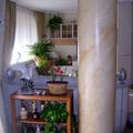 Estucado de columna 