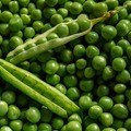 Guisantes