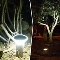 Iluminando el jardín