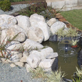 Jardín