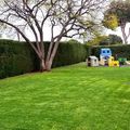 jardines