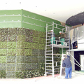 jardines verticales