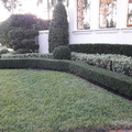 Mantenimiento de Jardines