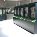 Museo de la Vida