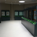 Museo de la Vida