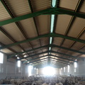 Nave Ganadera (Corral Rubio(AB))