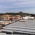 obra santiago