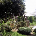 Parque de Los Juncos