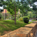 Parque de Los Juncos