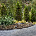 Parque de Los Juncos