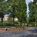 Parque de Los Juncos