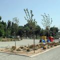 Parterre, juegos