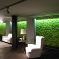Proyecto Hoteles