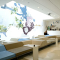Proyecto Hoteles