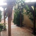 Proyecto jardin 1