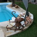 pulpo