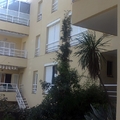Rehabilitación de fachadas en Segur de Calafell, C/Pinar, 10