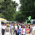 stands