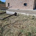 Suelo compactado y sembrado