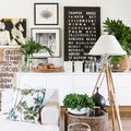 plantas en el salón