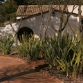 Xerojardinería