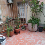 Rehabilitación de terrazas en pisos primero, fachada posterior de edificio plurifamiliar.