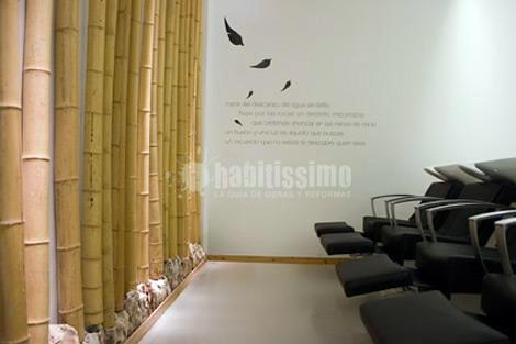 Zen Estilismo