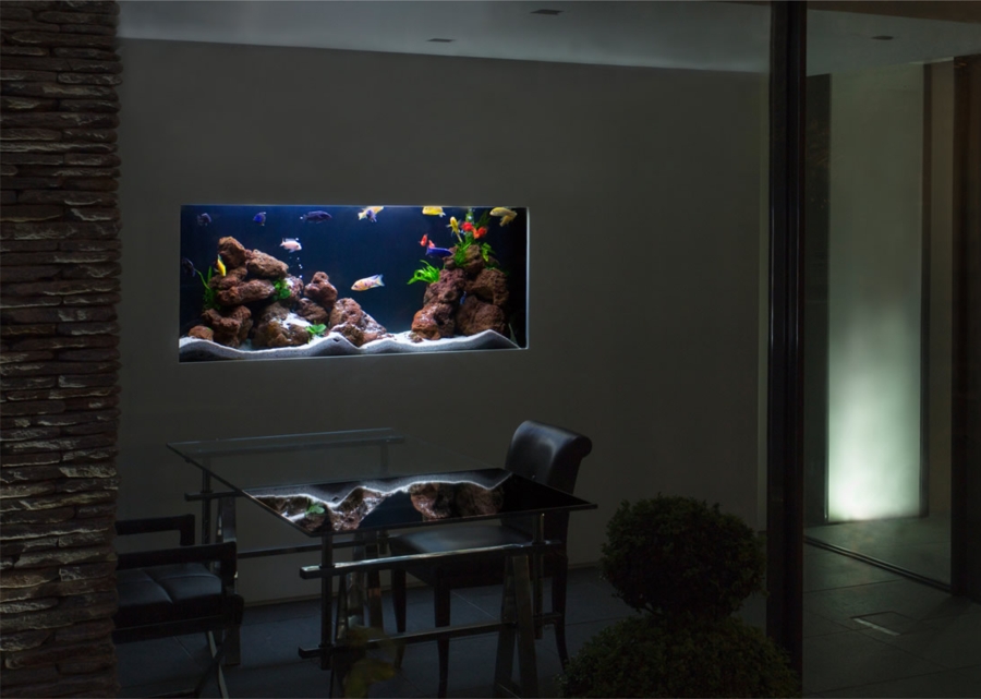 Foto: Acuario Incrustado en la Pared de Elenatorrente Díaz #827866