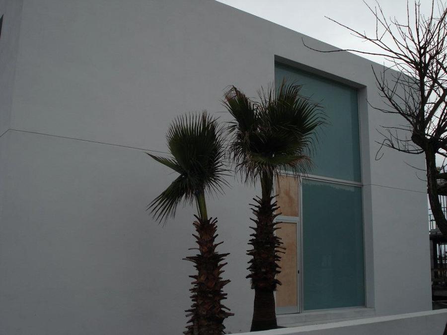ALCUDIA.