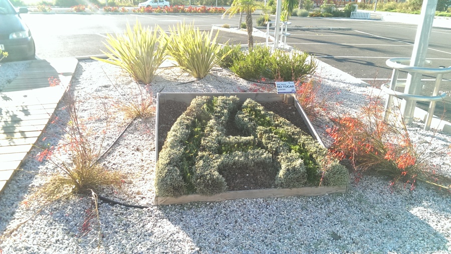 Aldo Coria 3