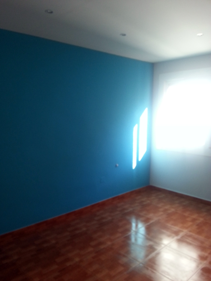 Alisar y pintar