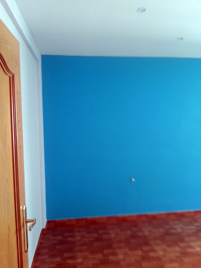 Alisar y pintar