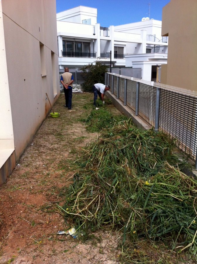 Antes exterior