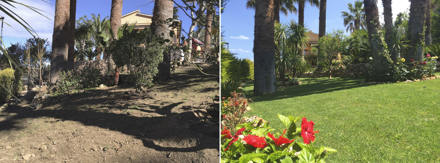 Antes y Despues 1
