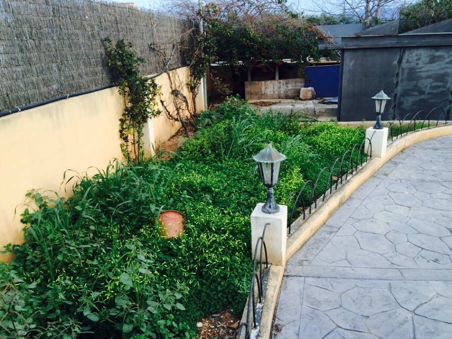 Antes