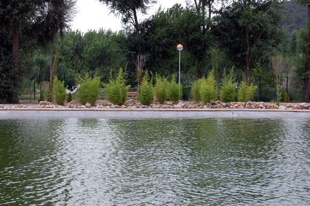Bambú, lago