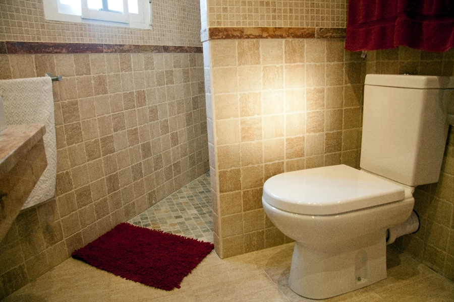 Baño alicatado
