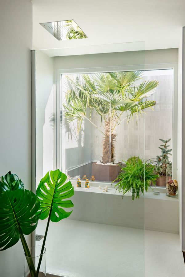 Baño con plantas