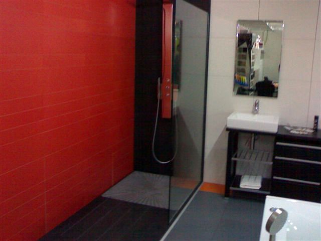 baño expo 2011