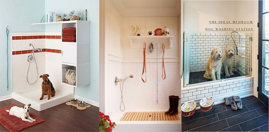 Cómo Preparar Tu Casa para una Nueva Mascota | Ideas Decoradores