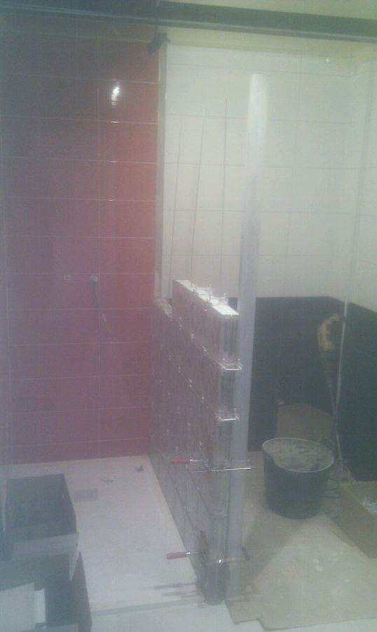baño reformado guadalajara