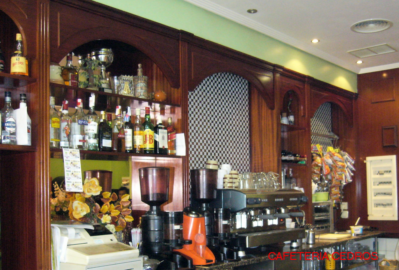 bar los cedros 