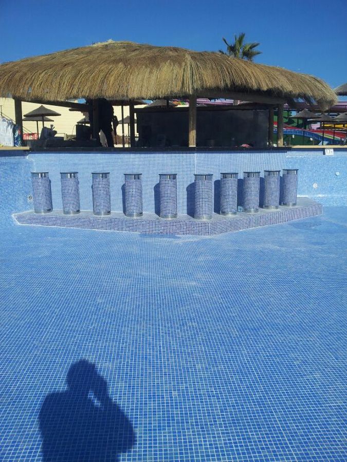 Barra en Piscina ;
