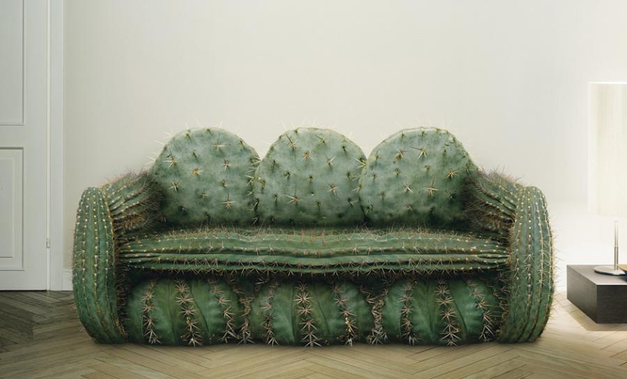 Cactus