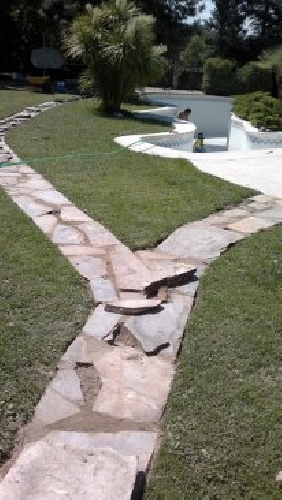 Caminos