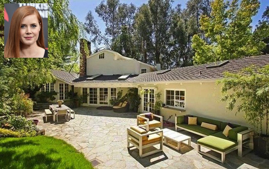 casa amy adams