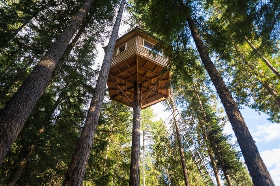 Cómo preparar tu casa para un apocalipsis zombie 10 casa arbol