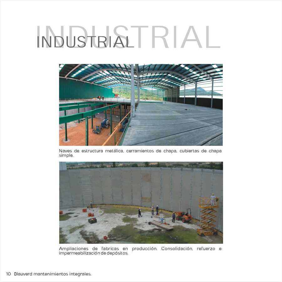 CATALOGO BVMI 12