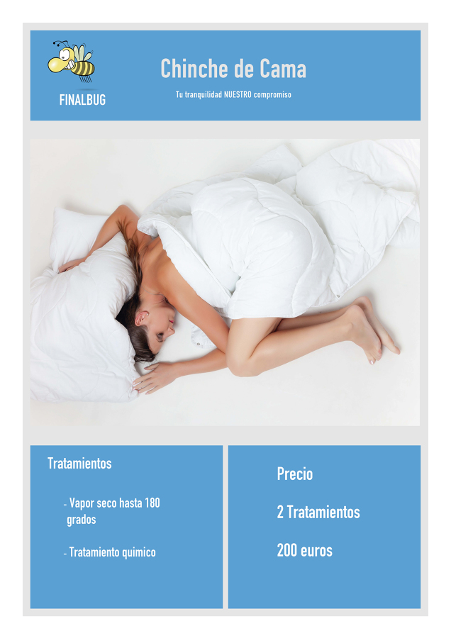 Chinches de Cama
