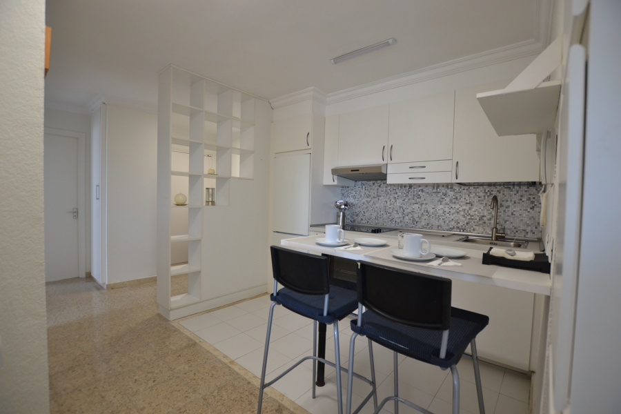 Cocina y recibidor